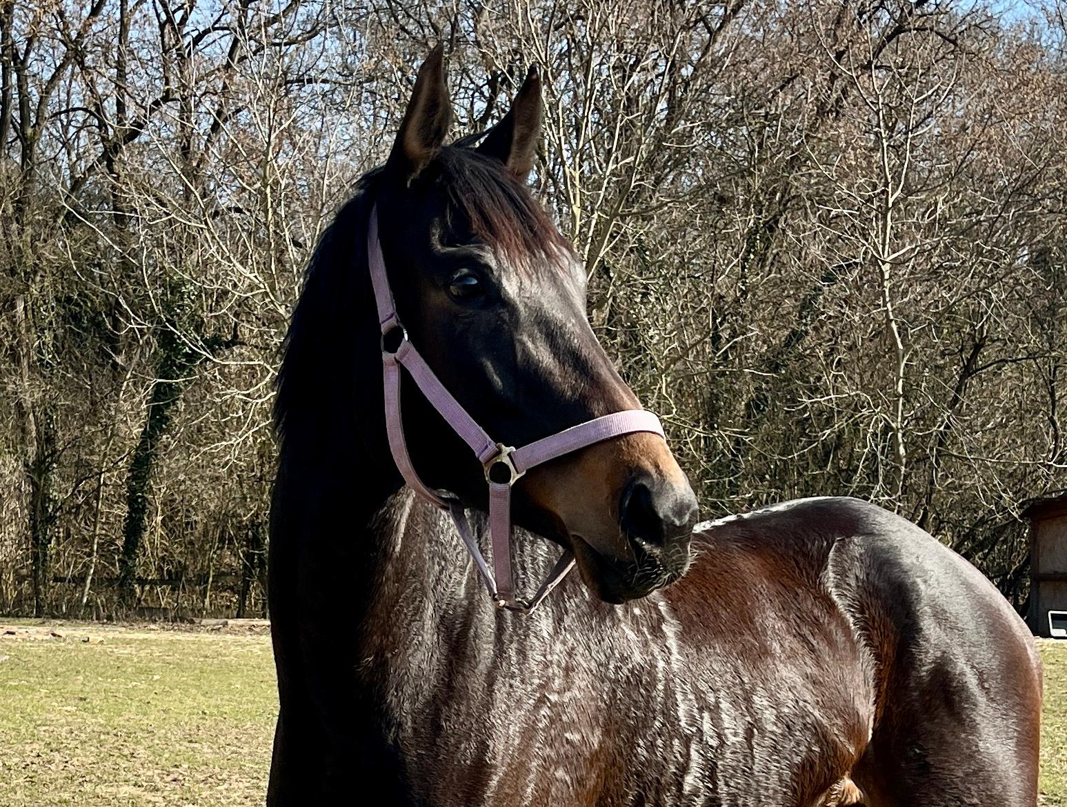 WhatsApp Image 2026-03-19 at 20.49.58